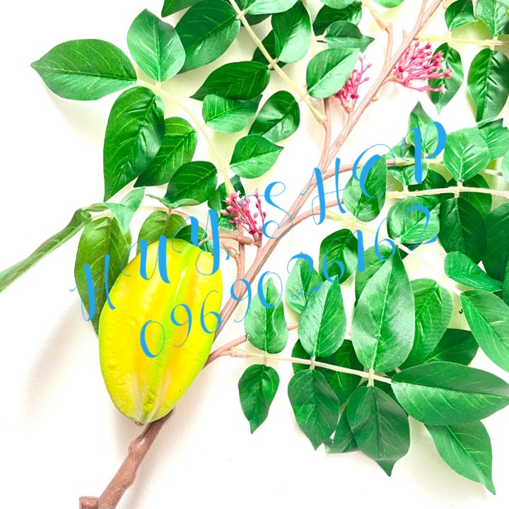 Cành Trái KHẾ nhân tạo trang trí nhà cửa