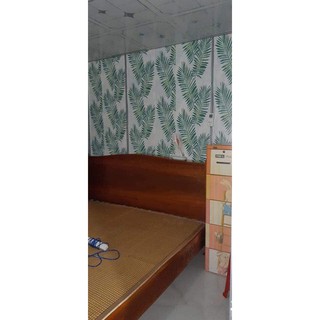 Combo 13 cuộn decal dán tường tre trúc đậm