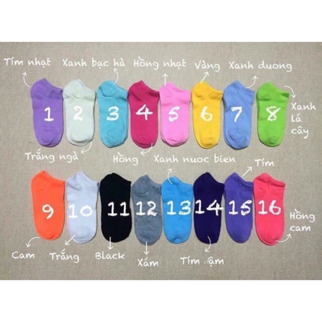 Combo tất trơn