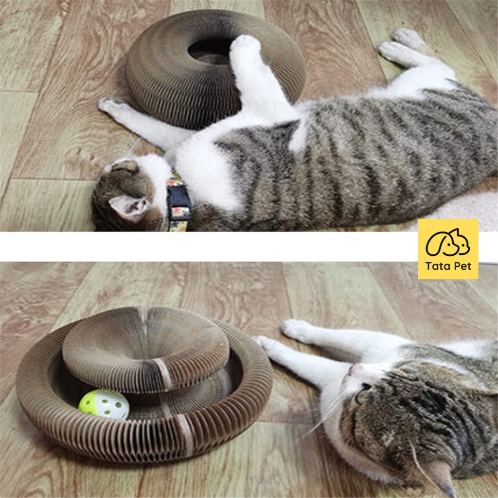 Đồ chơi bàn cào cào móng ma thuật xoay tròn cho mèo, Tặng kèm bóng