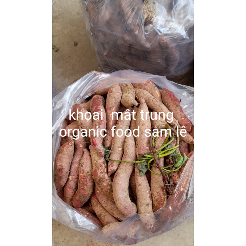 Khoai lang mật tà nung dà lạt | BigBuy360 - bigbuy360.vn