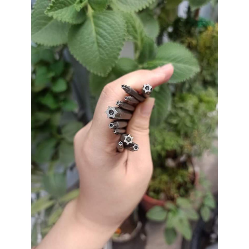 Bộ mũi lục giác hoa thị cho khoan dài 50mm 75mm 150mm