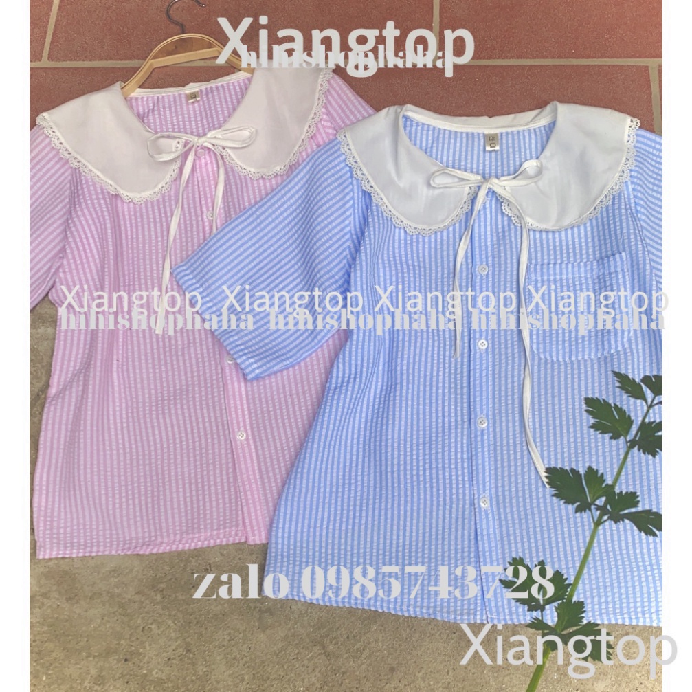 Áo sơ mi kẻ cổ bèo tiểu thư 2 màu ngắn tay kaca aosomicongsothietke vintagevn