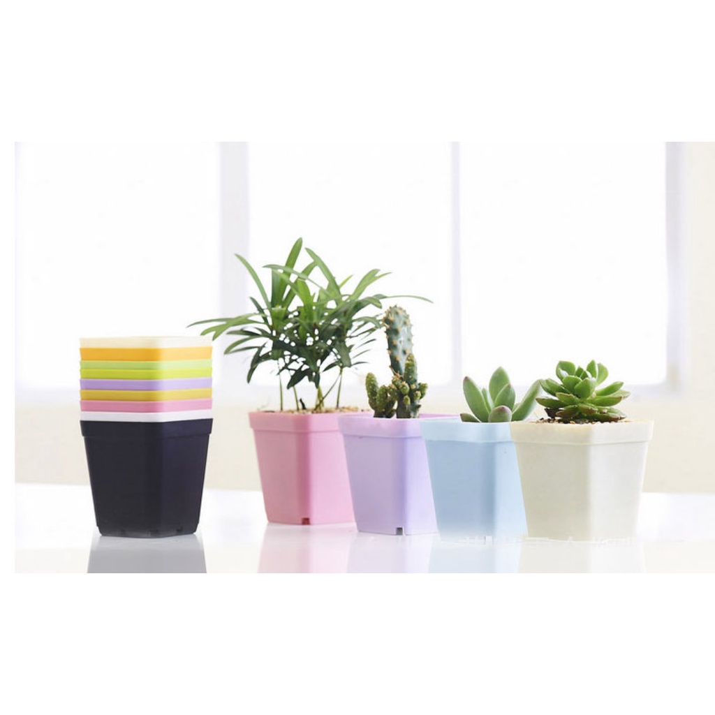 Chậu nhựa trồng cây mini nhiều mẫu, sen đá, xương rồng