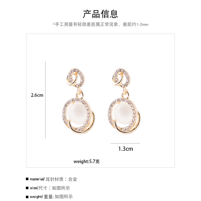 925 diamond silver Japan and Korea new fashion trend three-dimensional diamond earrings cat eye in red network female earrings earrings