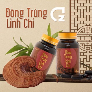 ĐÔNG TRÙNG LINH CHI