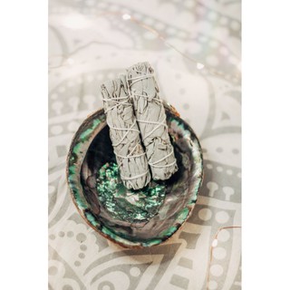 Noscere | Cây xô thơm trắng White Sage (Combo 3 bó 4 inches)