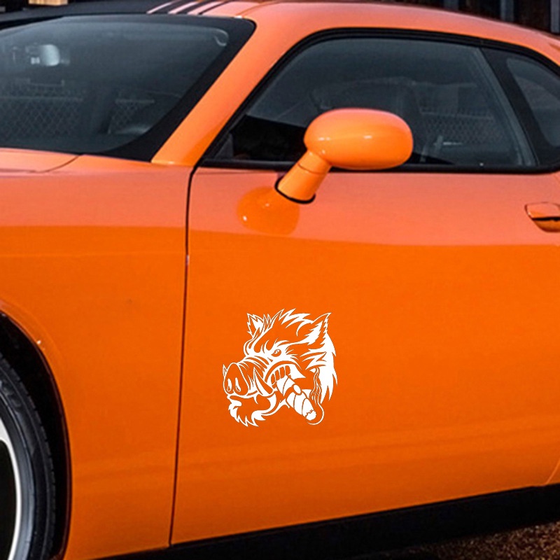 HIình dán xe hơi  Sticker ô tô che vết xước