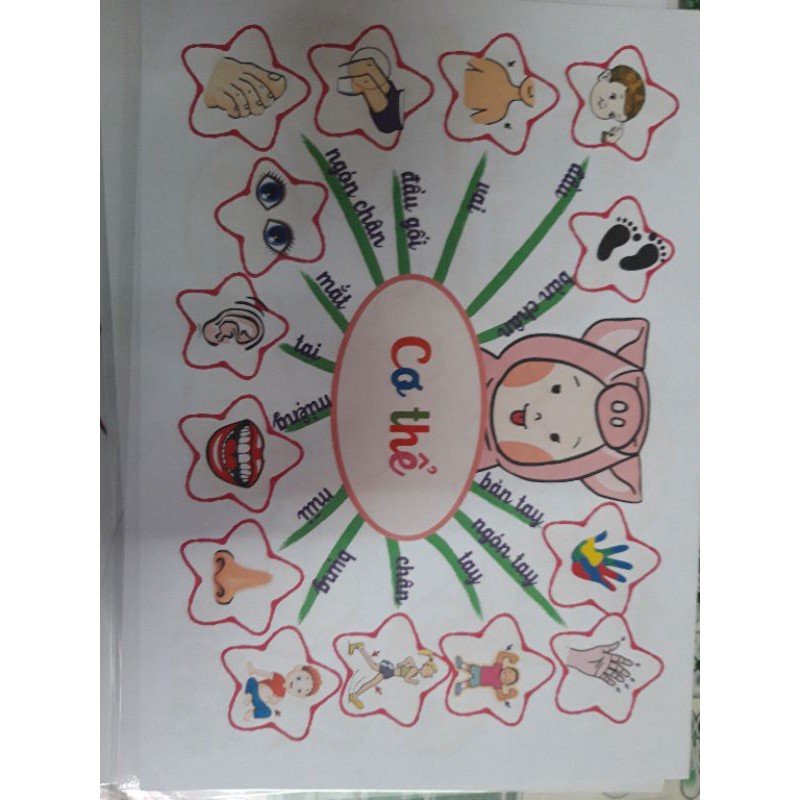 [MONTESSORI] Mindmap tiếng việt - sơ đồ tư duy bằng giấy in ảnh(11 trang)