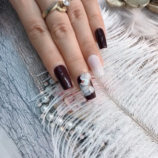 hoa cúc đá nửa _ Hoa bột nail, gắn móng nail box