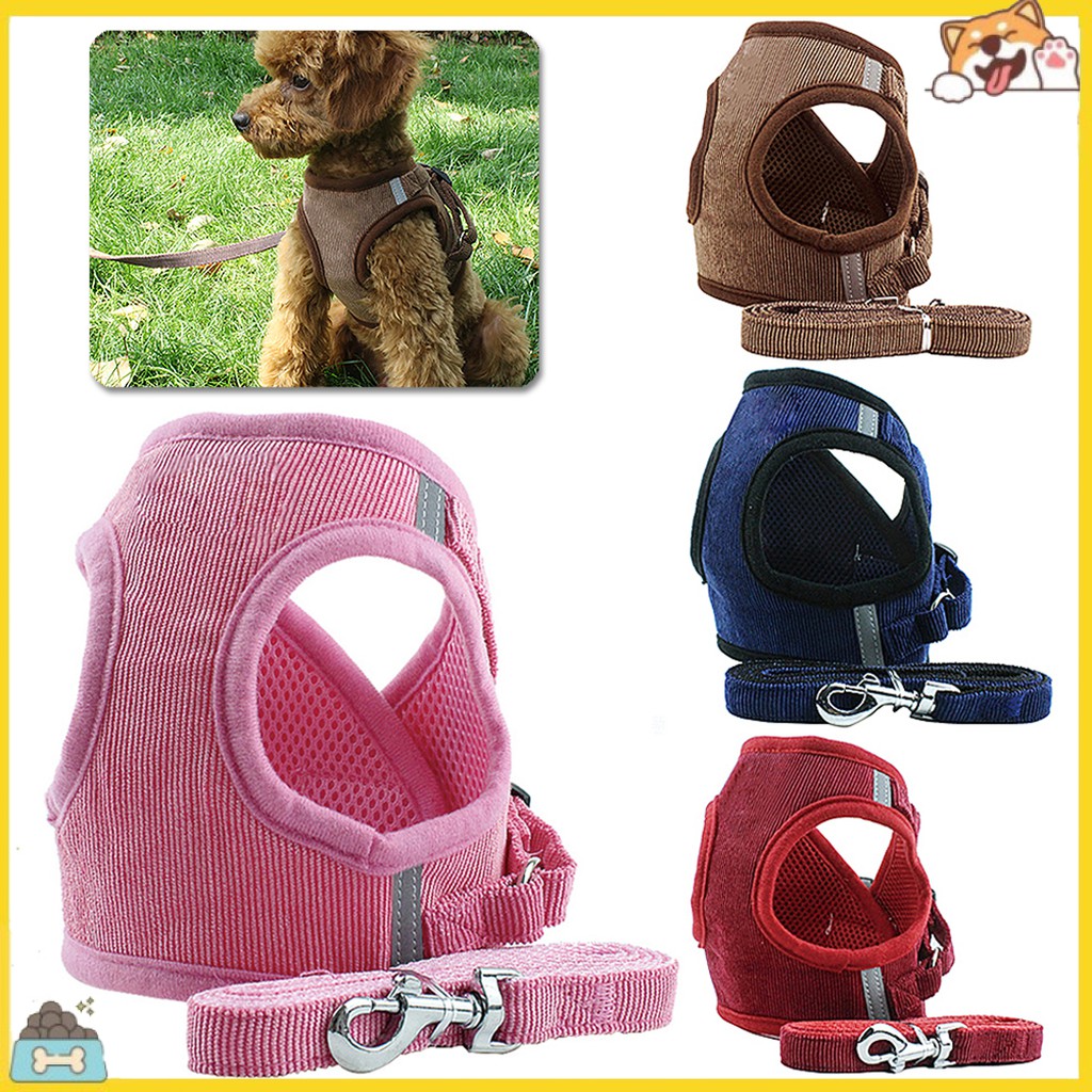 Dây Yên Cương Dùng Cho Thú Cưng