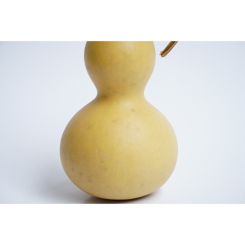 Bầu hồ lô phong thủy trắng nguyên trái nguyên cuống tài lộc | BigBuy360 - bigbuy360.vn