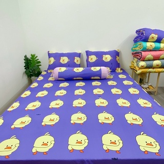 set 4 drap áo gối THUN LẠNH HÀN QUỐC