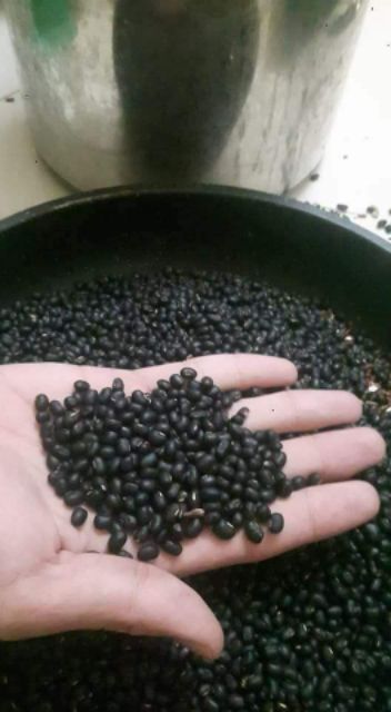 (1kg)Đỗ đen rang xanh lòng hạ thổ | BigBuy360 - bigbuy360.vn