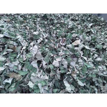 500gr Lá sen khô hàng loại 1 LS02