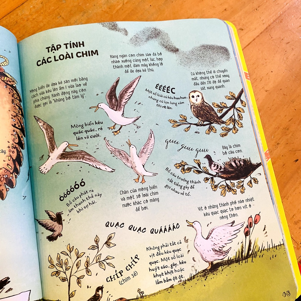 Sách - Bộ Tí ta tí toáy