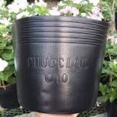 Chậu nhựa đen C8-C9-C10-C11-C12 trồng cây hiệu Phước Lộc dày dặn