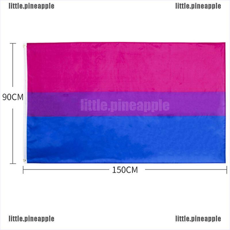 Cờ Lgbt Kích Thước