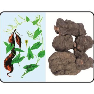 1kg Hà thủ ô đỏ khô GT073