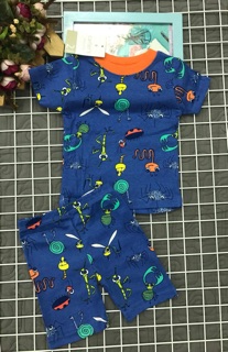 Set 4 bộ bé trai hiệu carter