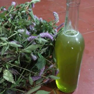 Mật ong bạc hà ( đặc sản cao nguyên tỉnh hà giang ) đóng 500ml
