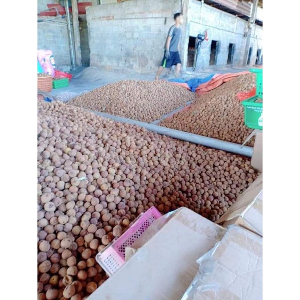 1kg vải sấy khô chính gốc bắc giang | BigBuy360 - bigbuy360.vn