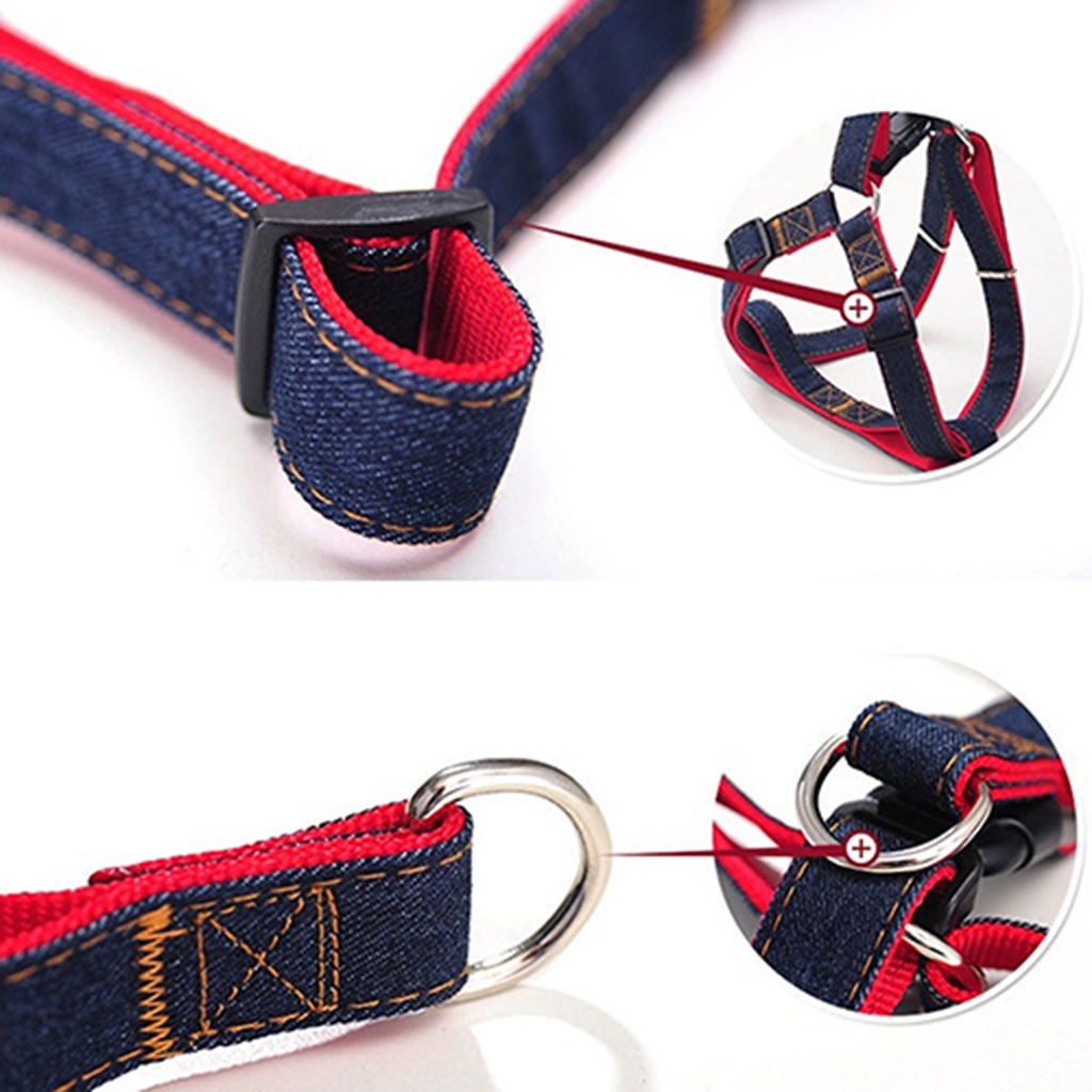 Dây dắt thú cưng đi dạo tiện lợi