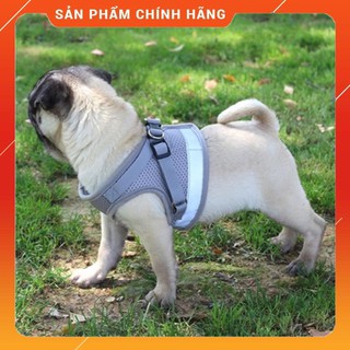 Dây đeo ngực thú cưng Vest phong cách cho chó Dây xích chó phản quang Vòng cổ chó mèo Mới 2020