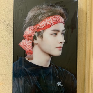 Khung ảnh v bts