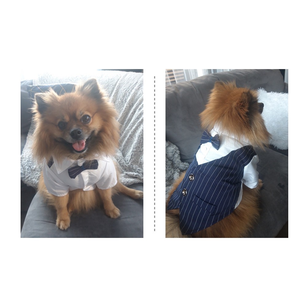 Áo sơ mi thời trang xuân hè cho thú cưng