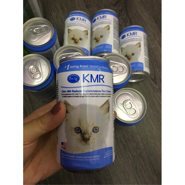 Sữa pha sẵn cho mèo sơ sinh KMR 325ml
