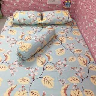 TRỌN BỘ GA GIƯỜNG COTTON POLY LỤA