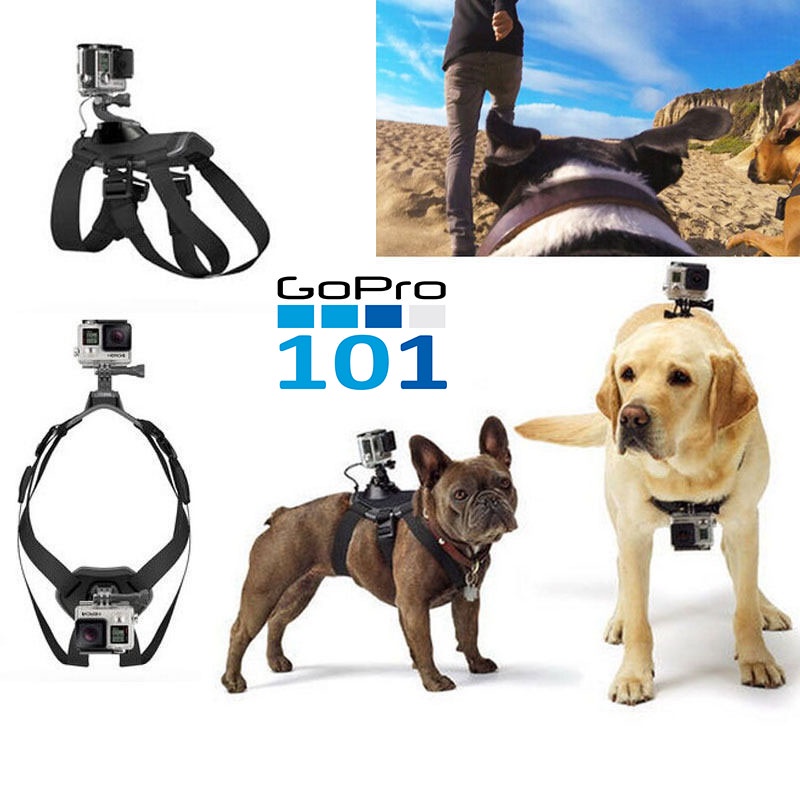Dog Mount Dây đeo camera GoPro gắn lưng, bụng cho thú cưng Dog Fetch Harness GoPro101 - inoxnamkim