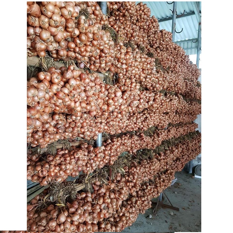Hành Bắc khô 3kg loại 1 đã chọn lọc Hải Dương