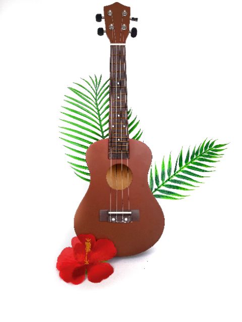 UKULELE CONCERT FULL GỖ