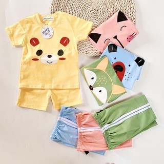 Combo 4 bộ cộc cotton