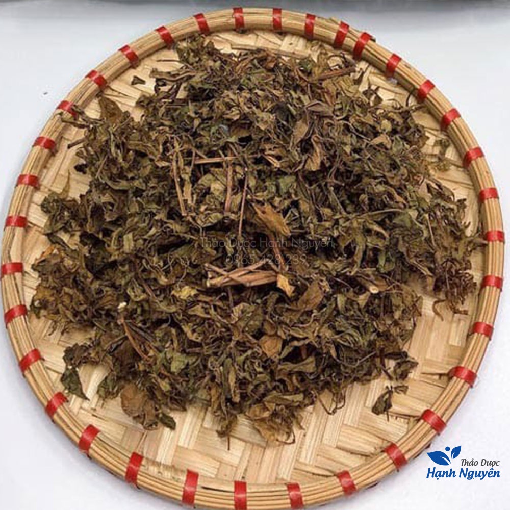 Lá đinh lăng khô 1kg (Trà đinh lăng thanh lọc cơ thể, hỗ trợ mất ngủ) - Thảo Dược Hạnh Nguyên