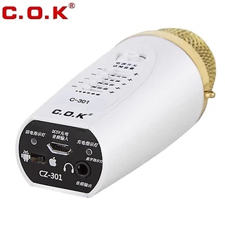 Micro karaoke bluetooth