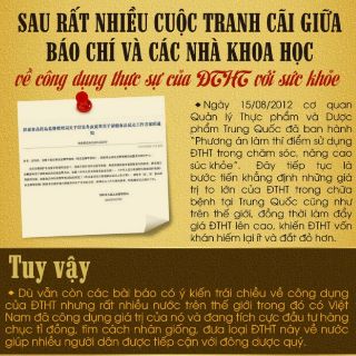 Đông trùng 20gr