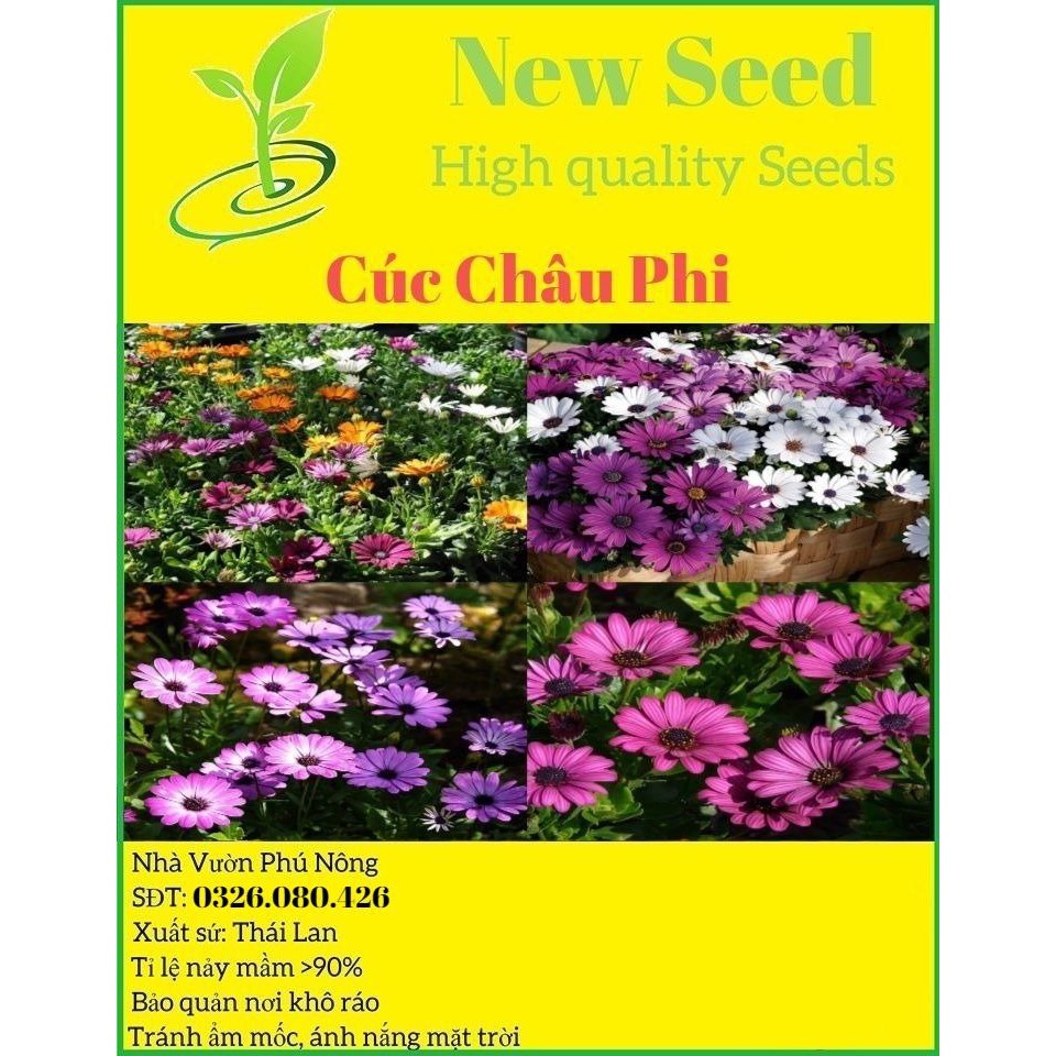 Hạt Giống Hoa Cúc Châu Phi F1 loại siêu dễ trồng dễ chăm sóc kháng sâu bệnh [ gói 50gram , 100gram, 200gram]