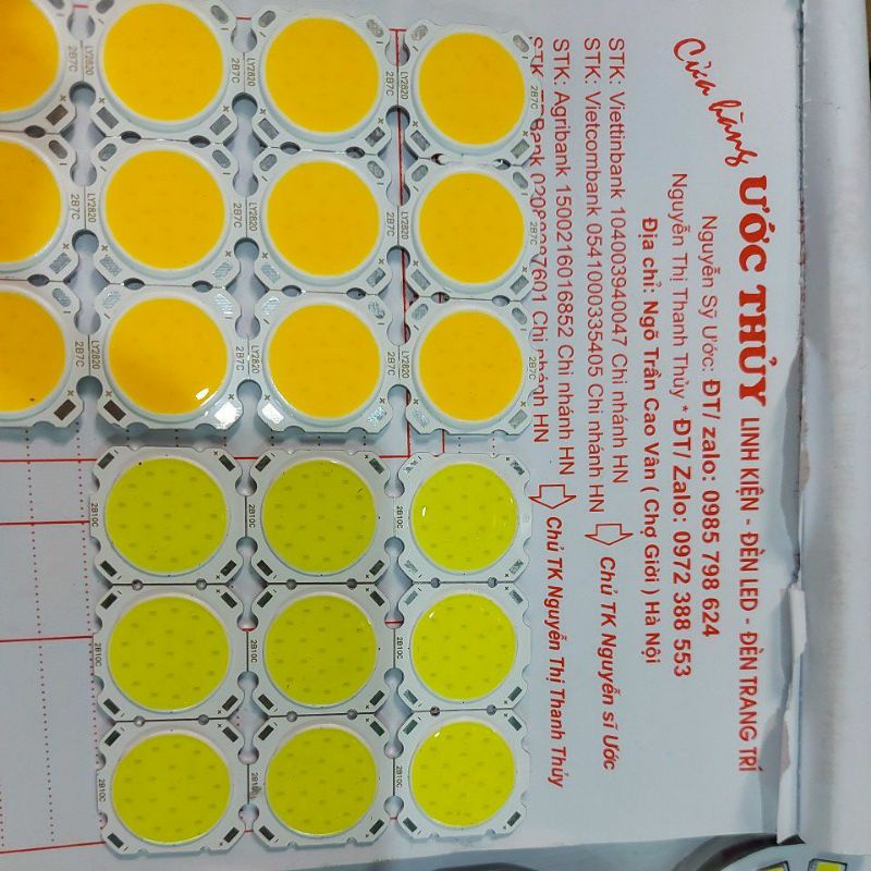 10c mắt lét cob