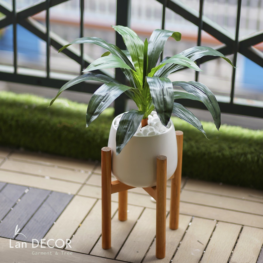Cây giả - Cây Thiết mộc lan để bàn, trang trí nhà đẹp  Lan Decor - LC2595-2