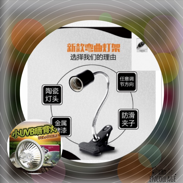 Bộ đèn sưởi cho rùa kẹp dài + bóng