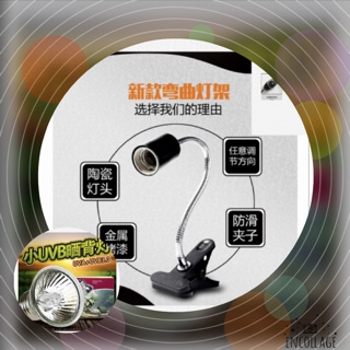 Bộ đèn sưởi cho rùa kẹp dài + bóng