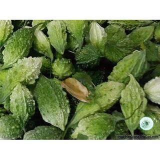 100GR 650.HẠT Hạt Giống Mướp Đắng/ Khổ Qua Rừng(| W1*W34)