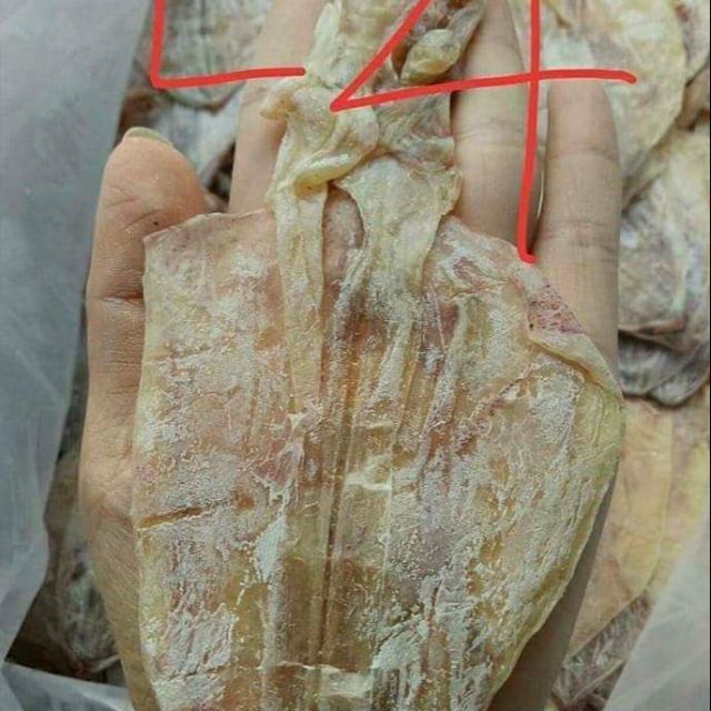 Combo  khach MỰC  L4