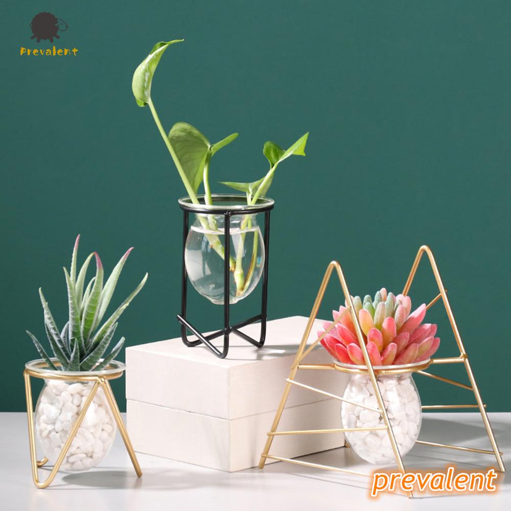 Bình trồng cây thuỷ tinh khung kim loại phong cách Bắc Âu trang trí để bàn nhiều màu sắc độc đáo