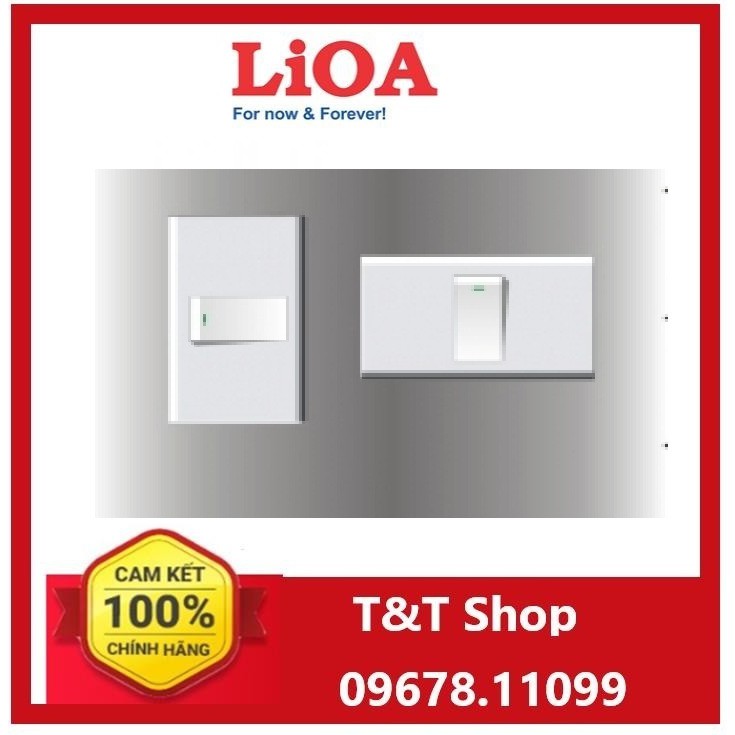 Công tắc đơn chữ nhật Series E20 ART LiOA