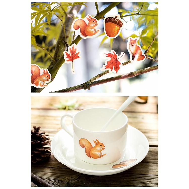 Hộp 46 sticker chủ đề cánh rừng mùa Thu xinh xắn trang trí nhật ký DIY đẹp mắt Box Sticker ST431