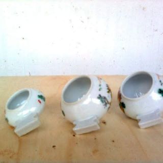 Cóng Ăn Sứ Chim Hàng Đẹp